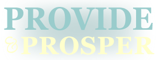 Provide and Prosper: Faith-based lessons to live richly on less